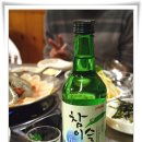 안씨네 Daum카페