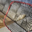 착한붕어 낚시카페 이미지