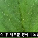 풍성농약사 이미지