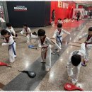 박사 엘리트 태권도 이미지