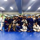 용인대 도당 유도체육관 네이버블로그