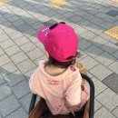 과일바빠 이미지