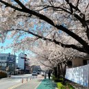 어의정로 이미지