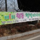 양산 원동 매화축제 구경하고 고깃집에서 고기먹고 이미지