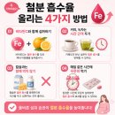 테라중기 | 임신 중기 영양제, 활성엽산,철분을 출산까지 먹어야하는 이유