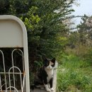 해인약국 이미지