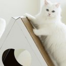 마이펫하우스 이미지