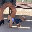 영천찌개마당 이미지