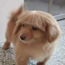 명지오션시티동물병원 이미지