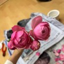 장미3단지경로당 | 부산 엄궁화훼단지 셀프부케 후기ㅣ제주스냅 웨딩촬영 부케 직접 만들기 (실바장미, 거베라)