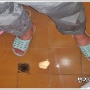 장보고마트 봉선점