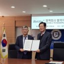 애니 팜 이미지