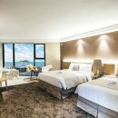 서귀포시청2청사 앞 이미지