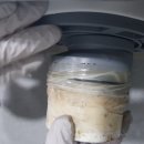 신일유토빌(아) 이미지