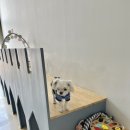 붕가붕가샵 이미지