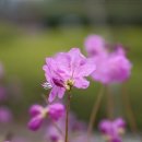 합성1동행정복지센터 이미지