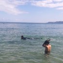 관성솔밭해변 이미지