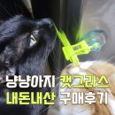 봉봉냥냥