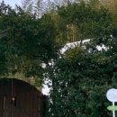 스테이숲숲 이미지