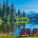 Pet's Station 이미지