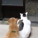 (주)에이스의료기 | [블챌 마지막 25주차] 유종의 미