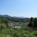 고운숲