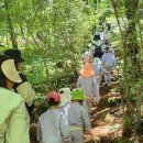 서상초병설유치원 이미지