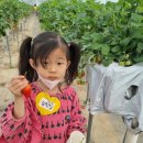 은별농장 이미지