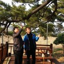 오류1리 경북신문