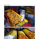 세일농장 이미지