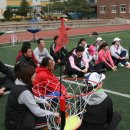 횡성초등학교 이미지