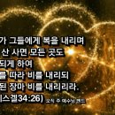 복된 장마비 - 7176 | 복된 장마비
