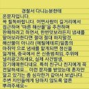 &#34; 감사의 씨를 심자. &#34; 외4 건 [채동석동호회 단톡방에서] 이미지