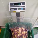 프루틴랩 이미지