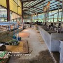 영천농장축사 이미지