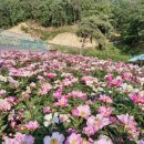 전원농장 이미지