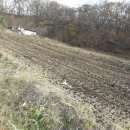 잘생긴부동산중개 이미지