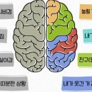 브레인링크 이미지