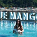 망고 스테이 이미지