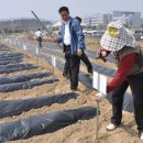 인기농장 이미지