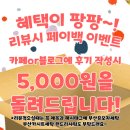 수영세탁 이미지