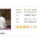 피플앤 퍼피 이미지