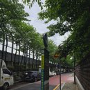 구립마루어린이집 이미지