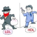 ﻿콜레스테롤이란? / hdl,ldl콜레스테롤? / 콜레스테롤낮추는음식~ 이미지