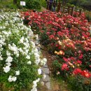 계양산 계양공원 이미지