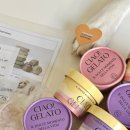 어뇽어뇽 이미지