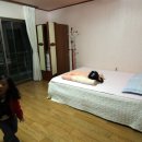 하르방 민박 이미지