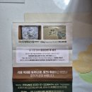 냉동 쑥판매 업체 연락처 이미지