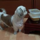 인천용현초등학교 이미지