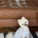 보스턴샐러드하우스평내 이미지